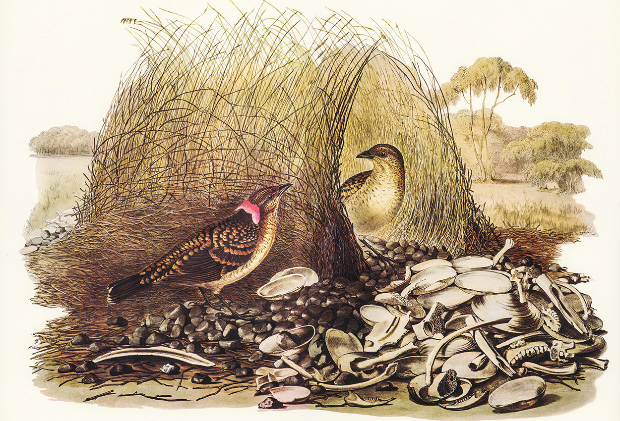 Latest Health Updates, Expert Advice, and Wellness Trends